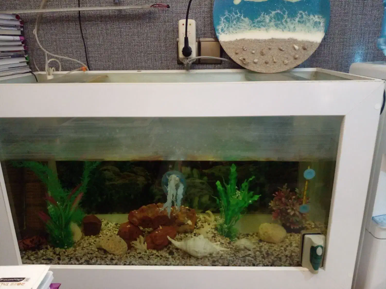 آکواریوم یک متری با وسایل و یک عدد ماهی اسکار|ماهی|رشت, شهریاران|دیوار