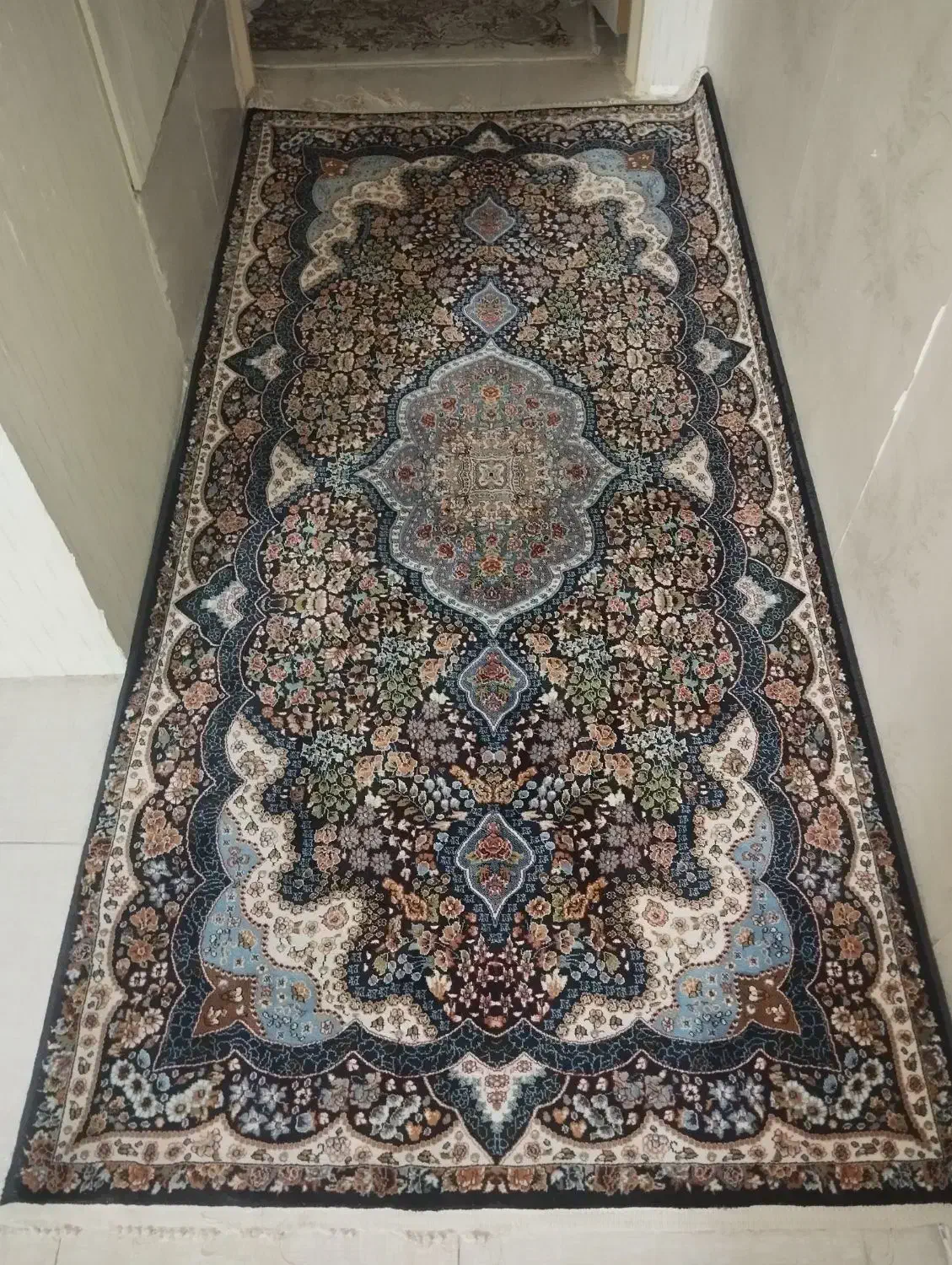 باخریدیک جفت فرش۶متری پادری هدیه بگیرید،فرش راهرو|فرش|کرج, حصارک پایین|دیوار