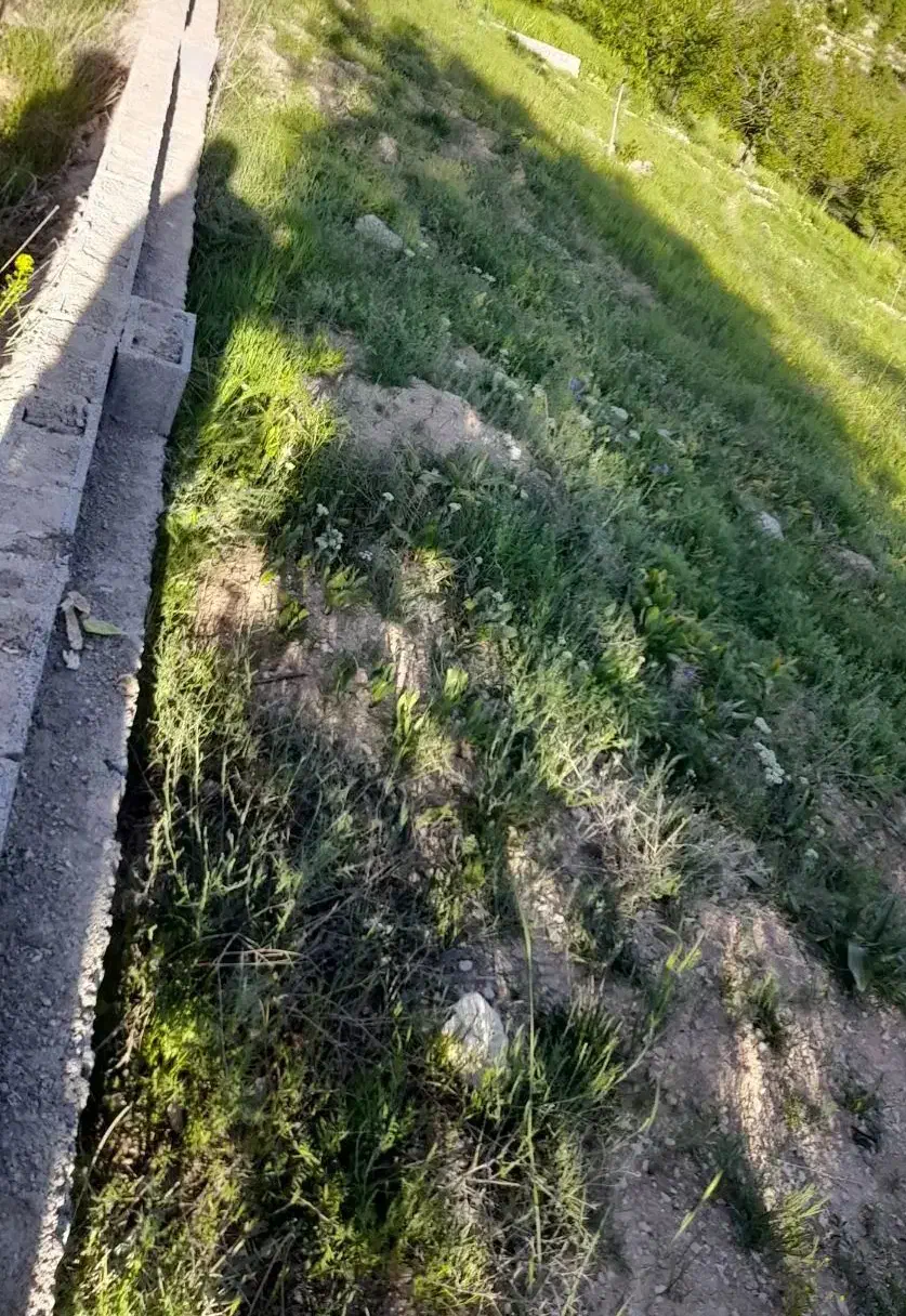 فروش زمین مسکونی سپیدان ویلا یی|فروش زمین و ملک کلنگی|سپیدان, |دیوار