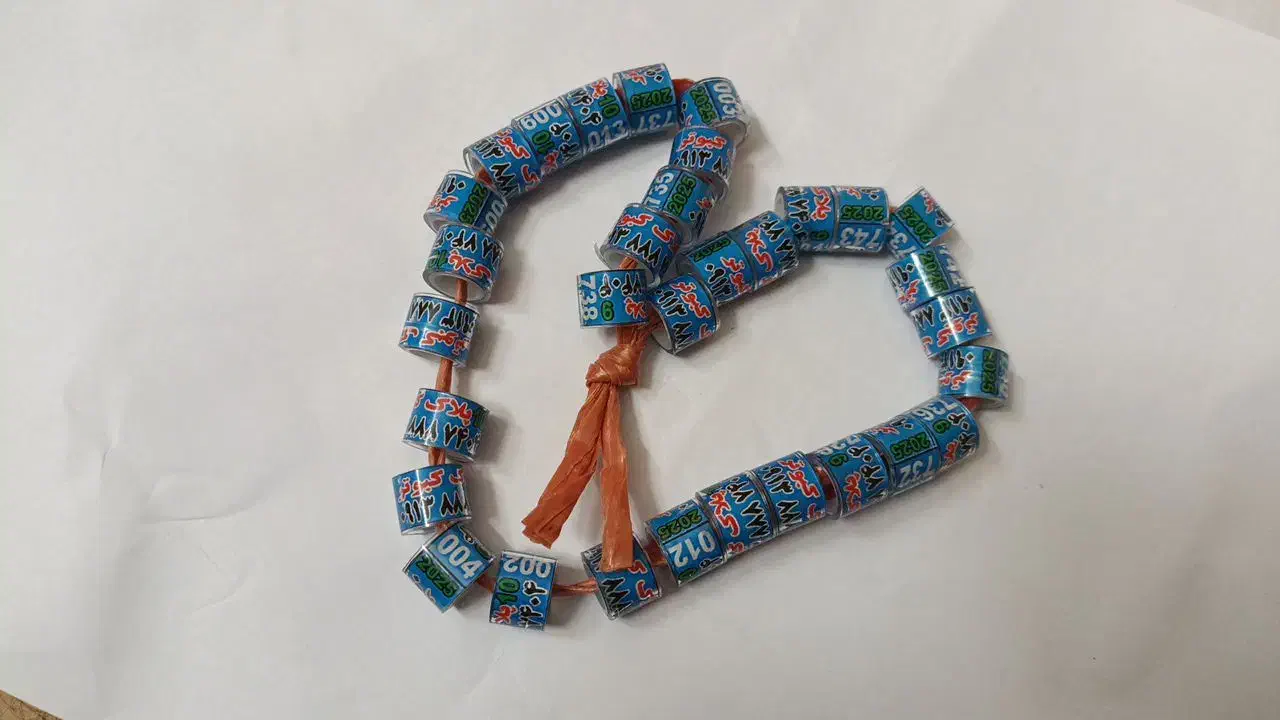 یک پلاک کبوتر آبی سمنانی|لوازم جانبی حیوانات|سمنان, |دیوار