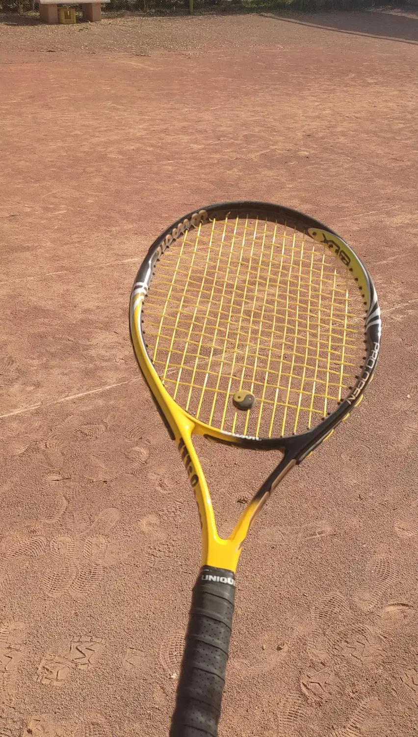 راکت تنیس ویلسون|ورزش‌های توپی|فولادشهر, C8|دیوار