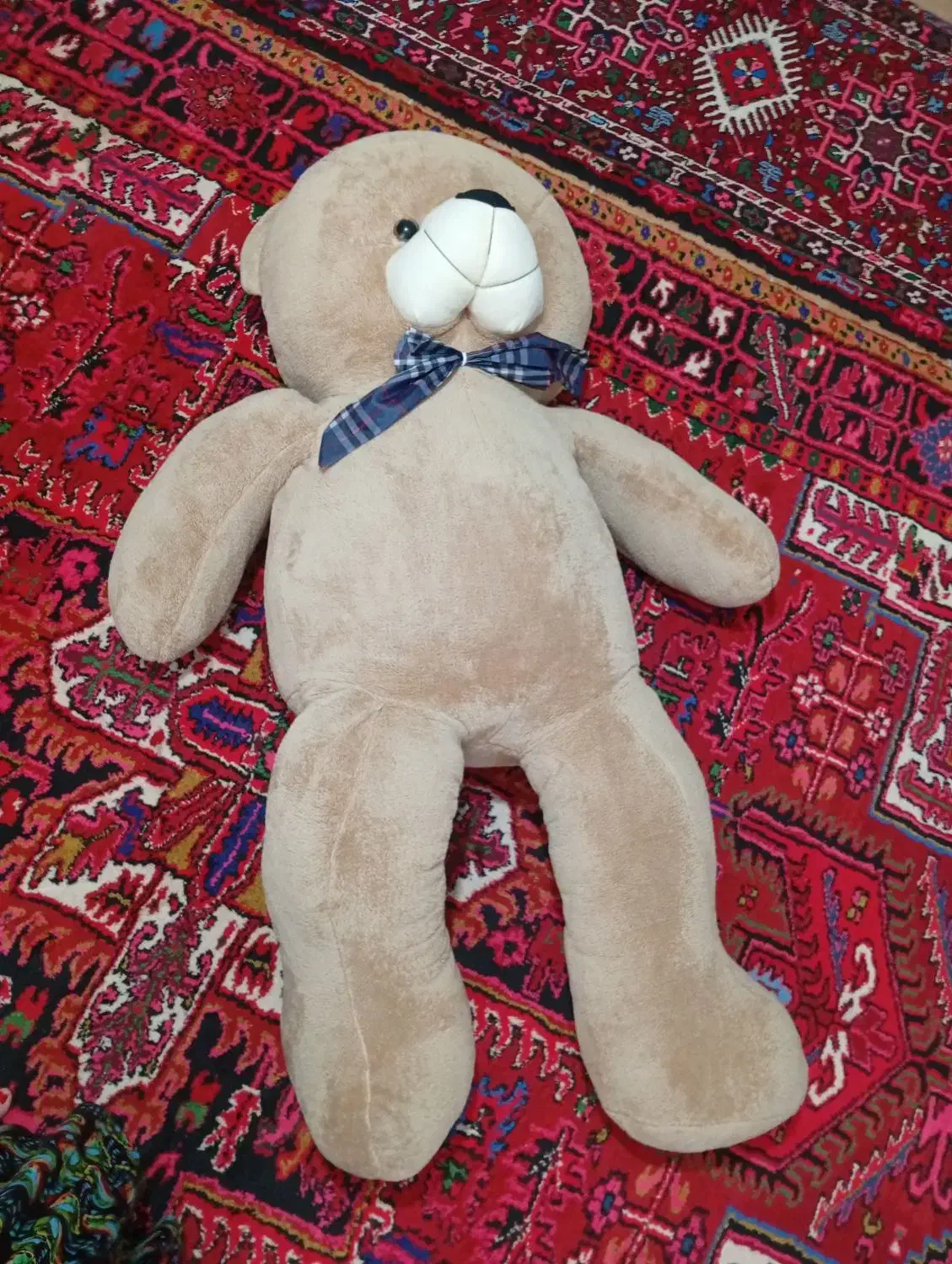 خرس ولنتاین|اسباب‌‌بازی|سهند, |دیوار