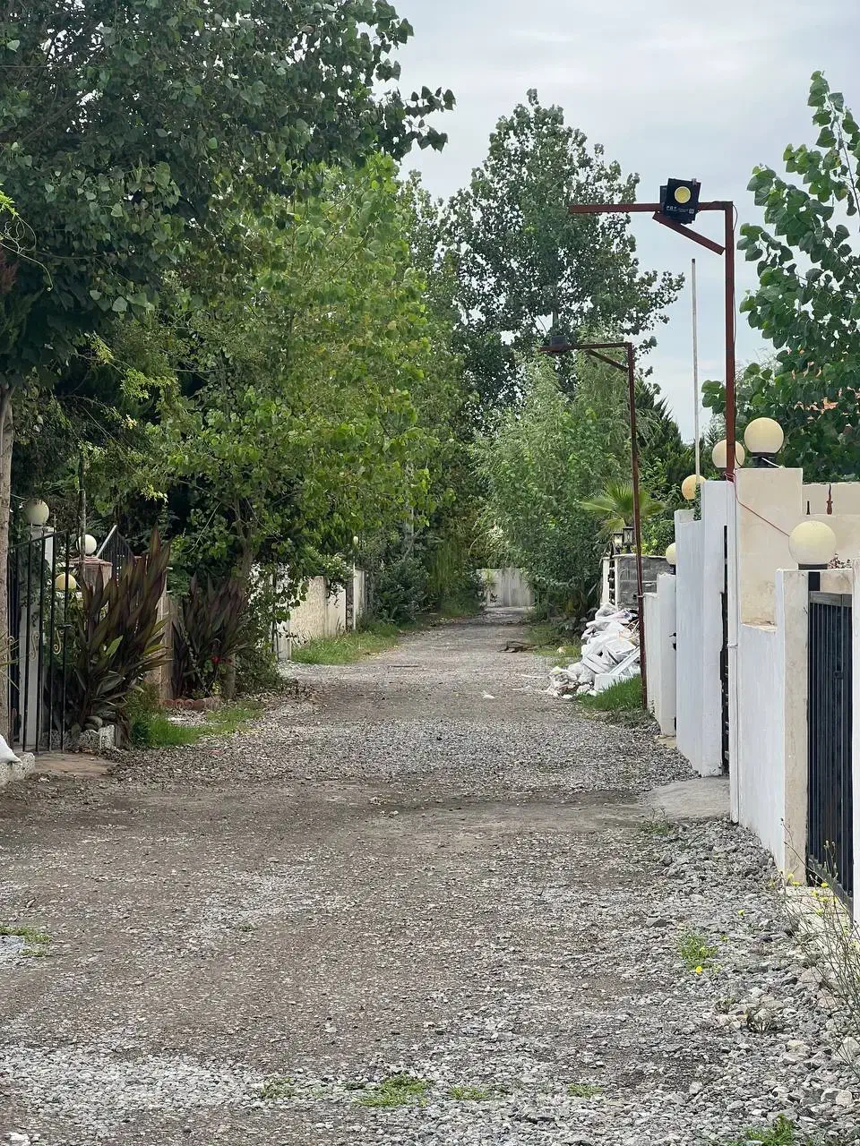 زمین ۲۰۰متری ٪سندتکبرگ انشعابات سر ملک|فروش زمین و ملک کلنگی|چمستان, |دیوار