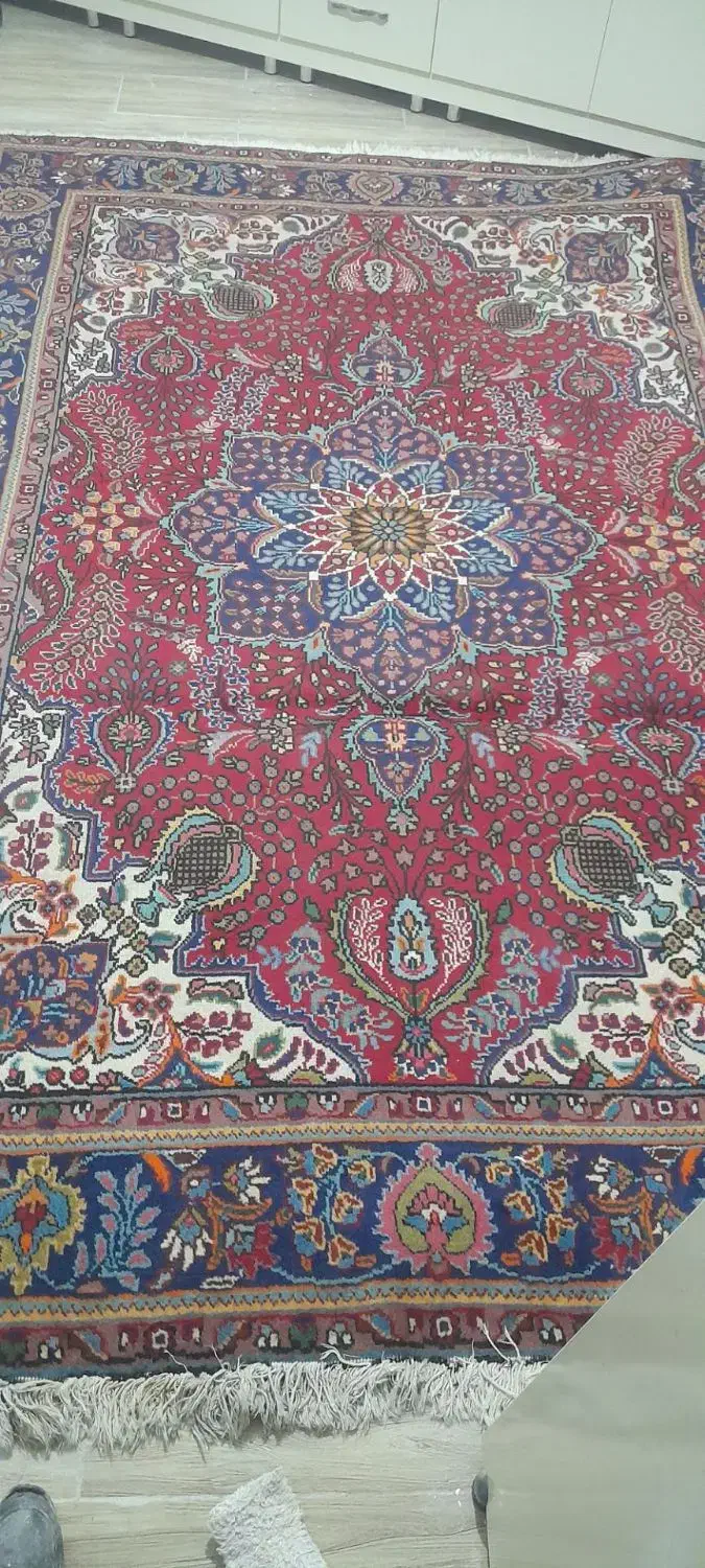 فرش دستبافت|فرش|میاندوآب, |دیوار