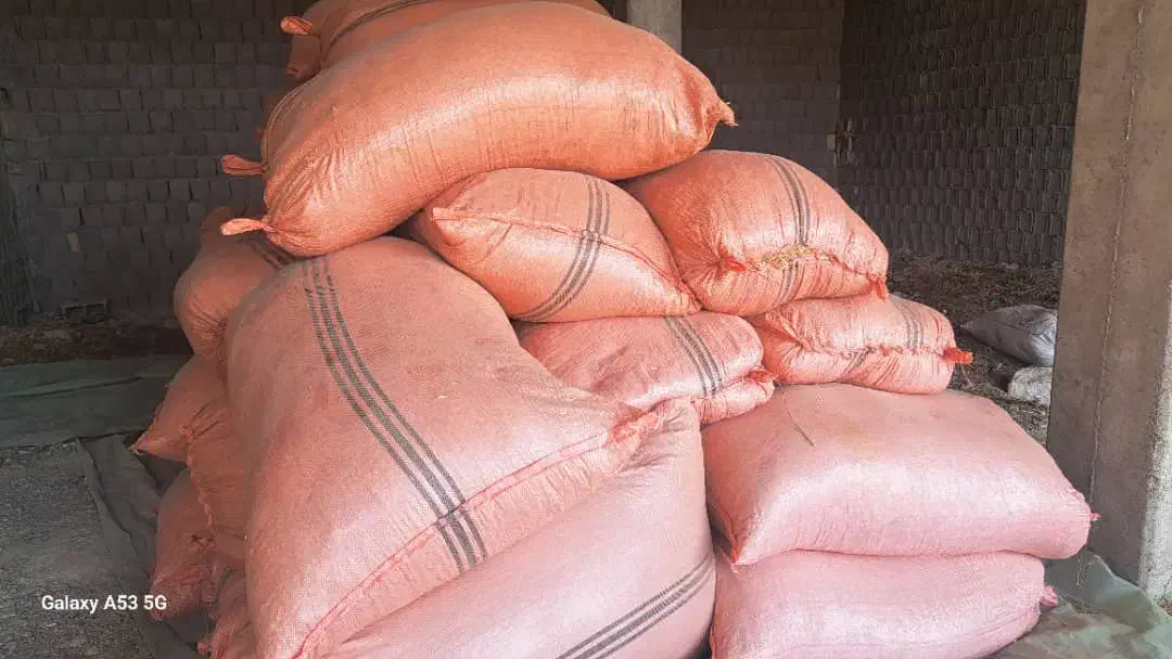 کاه لوبیا وگندم|عمده‌فروشی|یاسوج, |دیوار