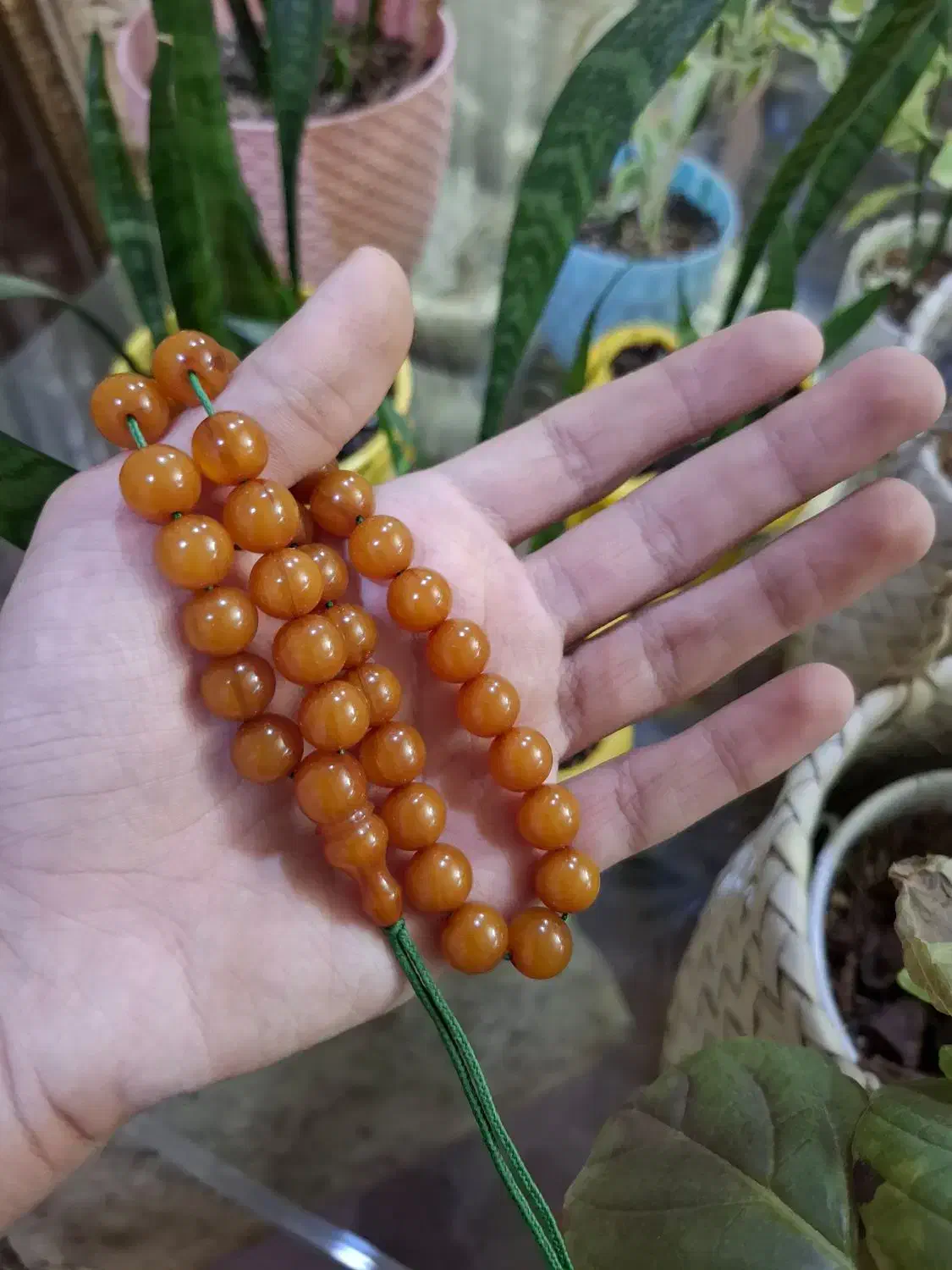 تسبیح کهربا|جواهرات|تبریز, |دیوار