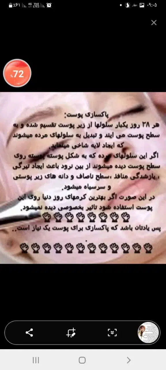 حلزون مولد|خزنده|دزفول, |دیوار