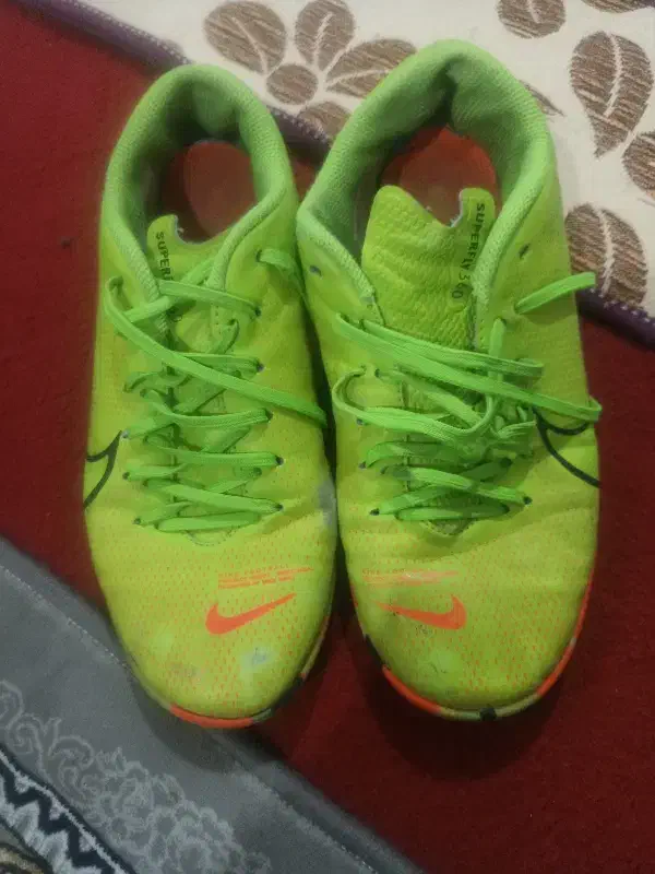 کفش سالنی|کیف، کفش، کمربند|قم, ولیعصر|دیوار