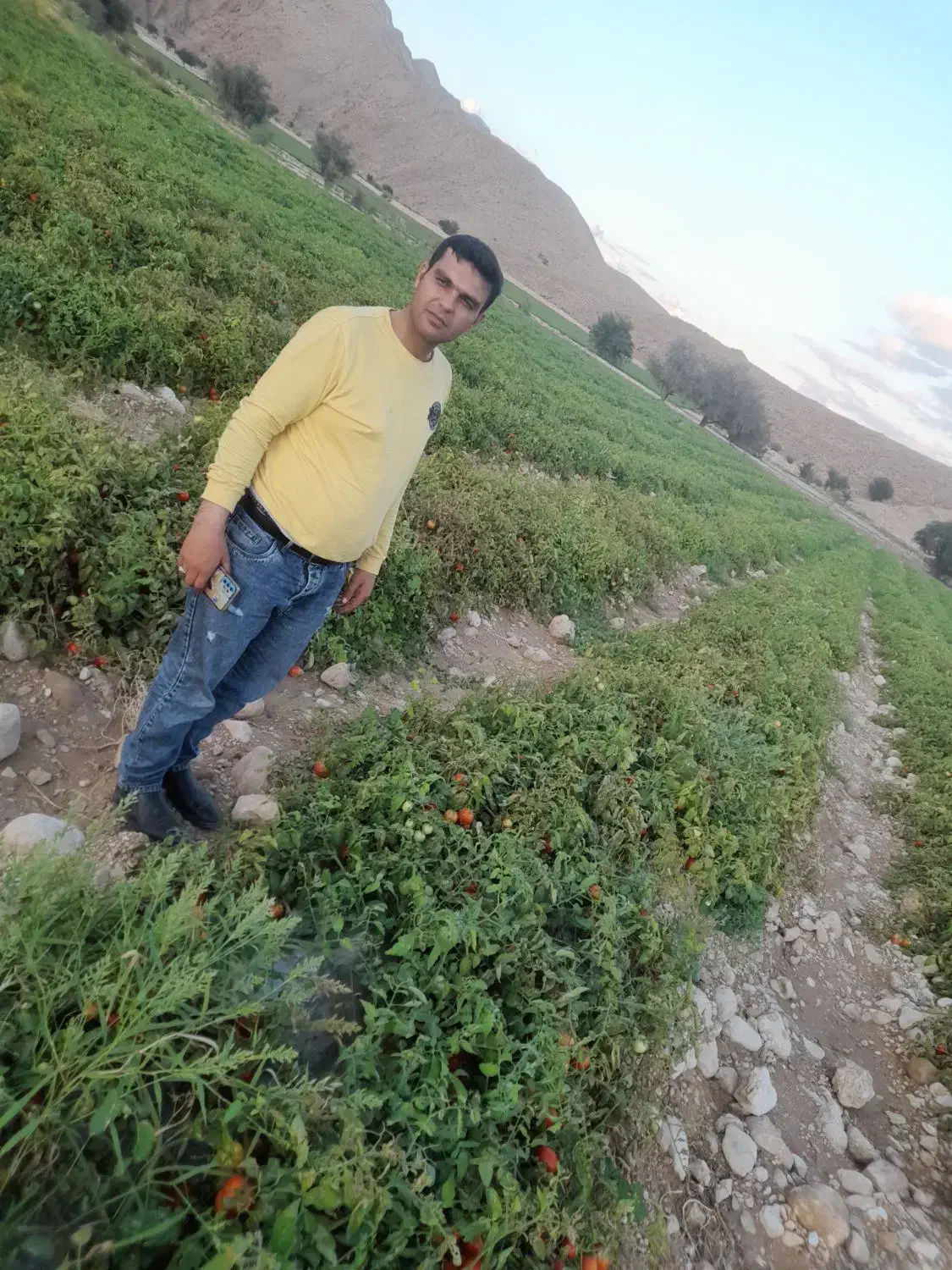 چاه گشاورزی|فروش زمین و ملک کلنگی|نصر آباد, |دیوار