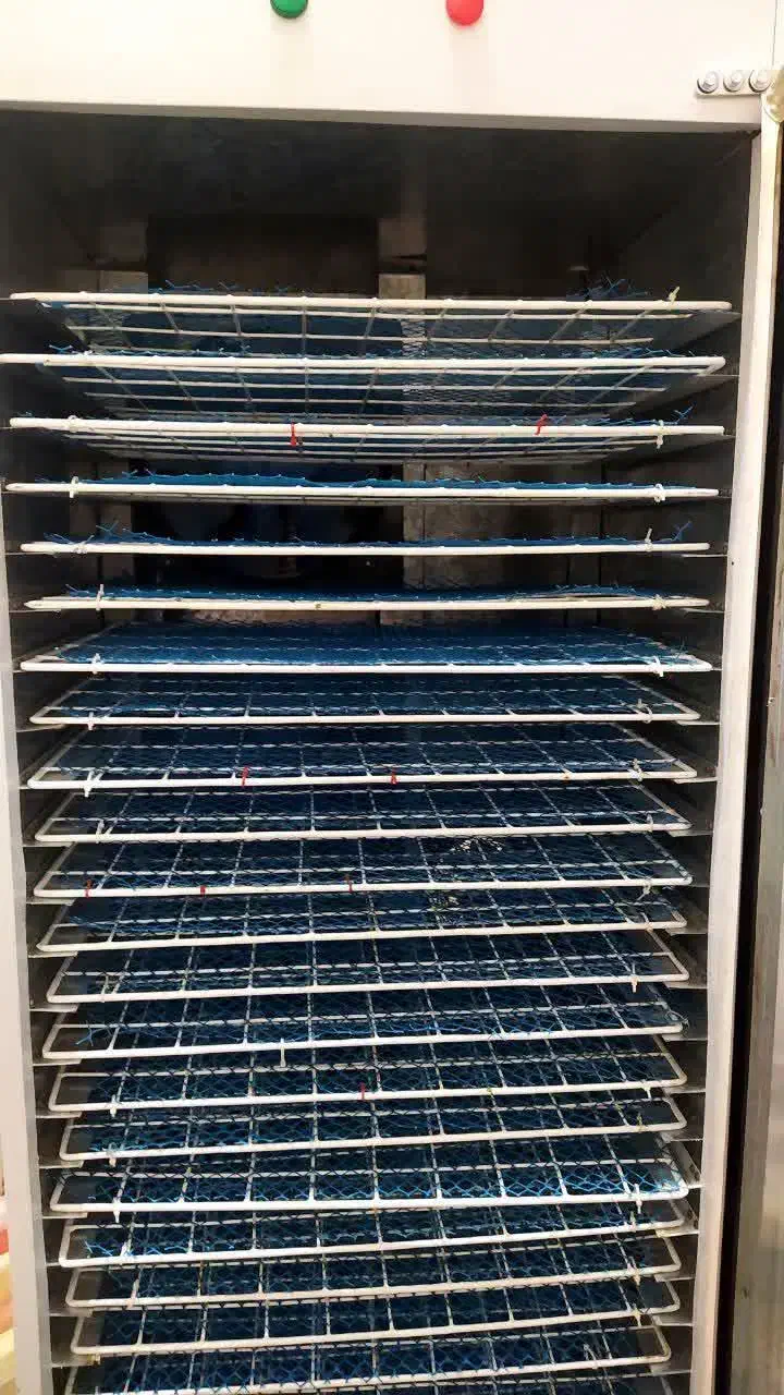 دستگاه خشک کن میوه و سبزیجات|سایر لوازم برقی|خمینی‌شهر, |دیوار