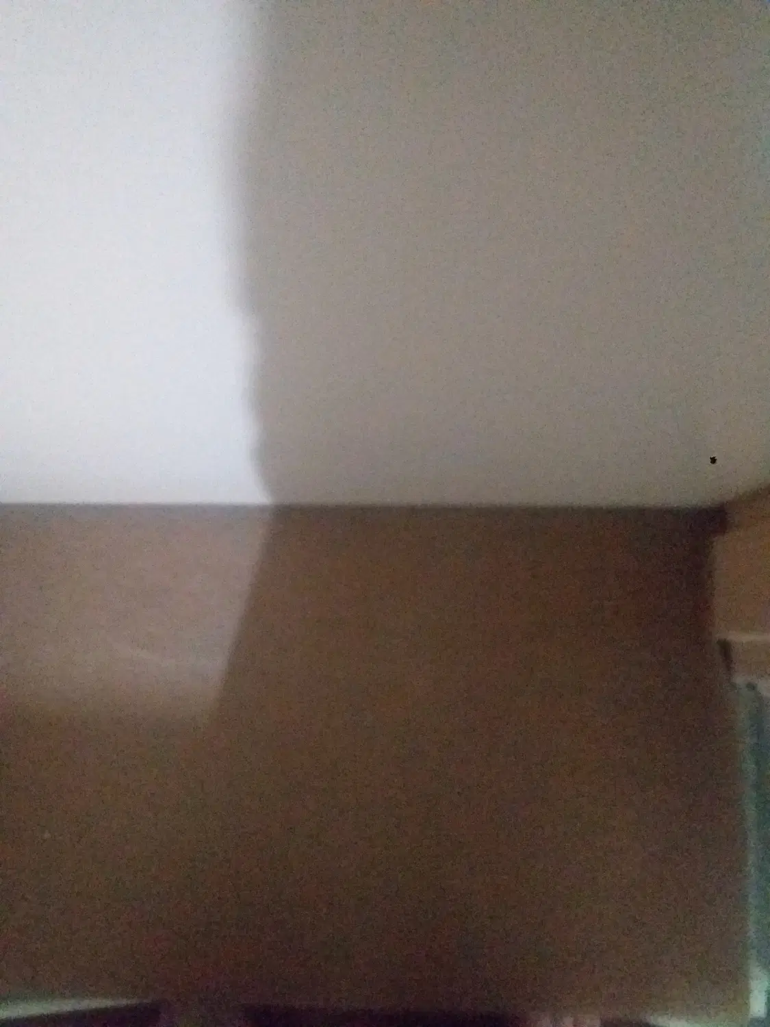 موکت|موکت|سنندج, |دیوار