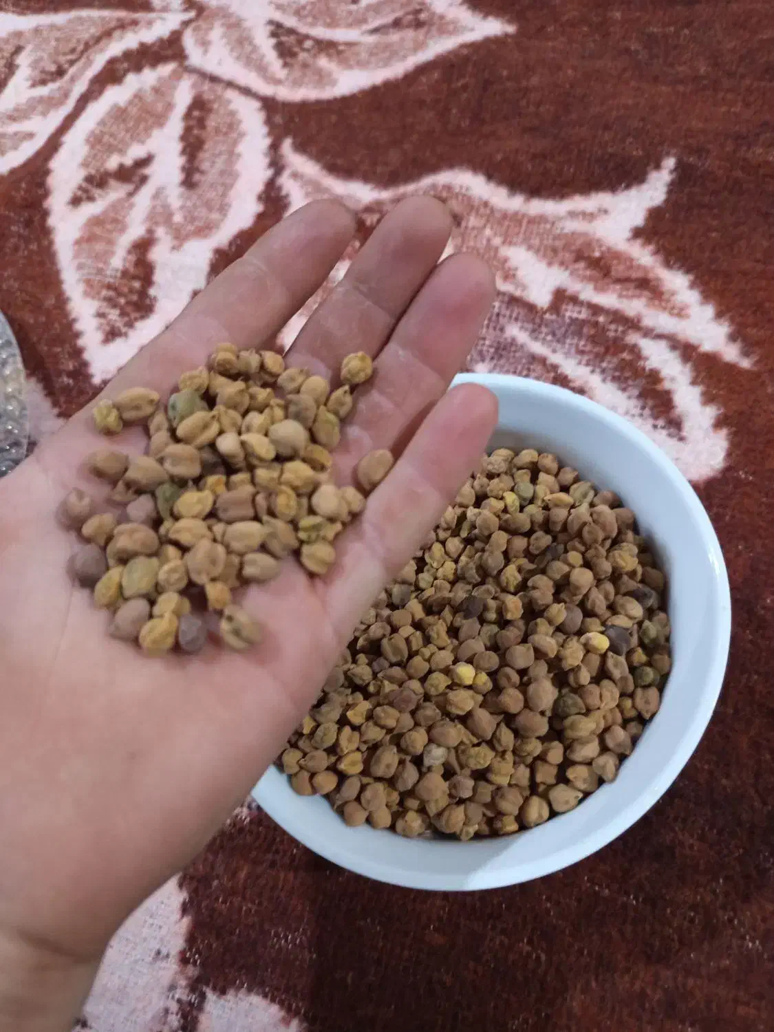 نخود اصلاح شده برای لپه|خوردنی و آشامیدنی|صومای برادوست, |دیوار