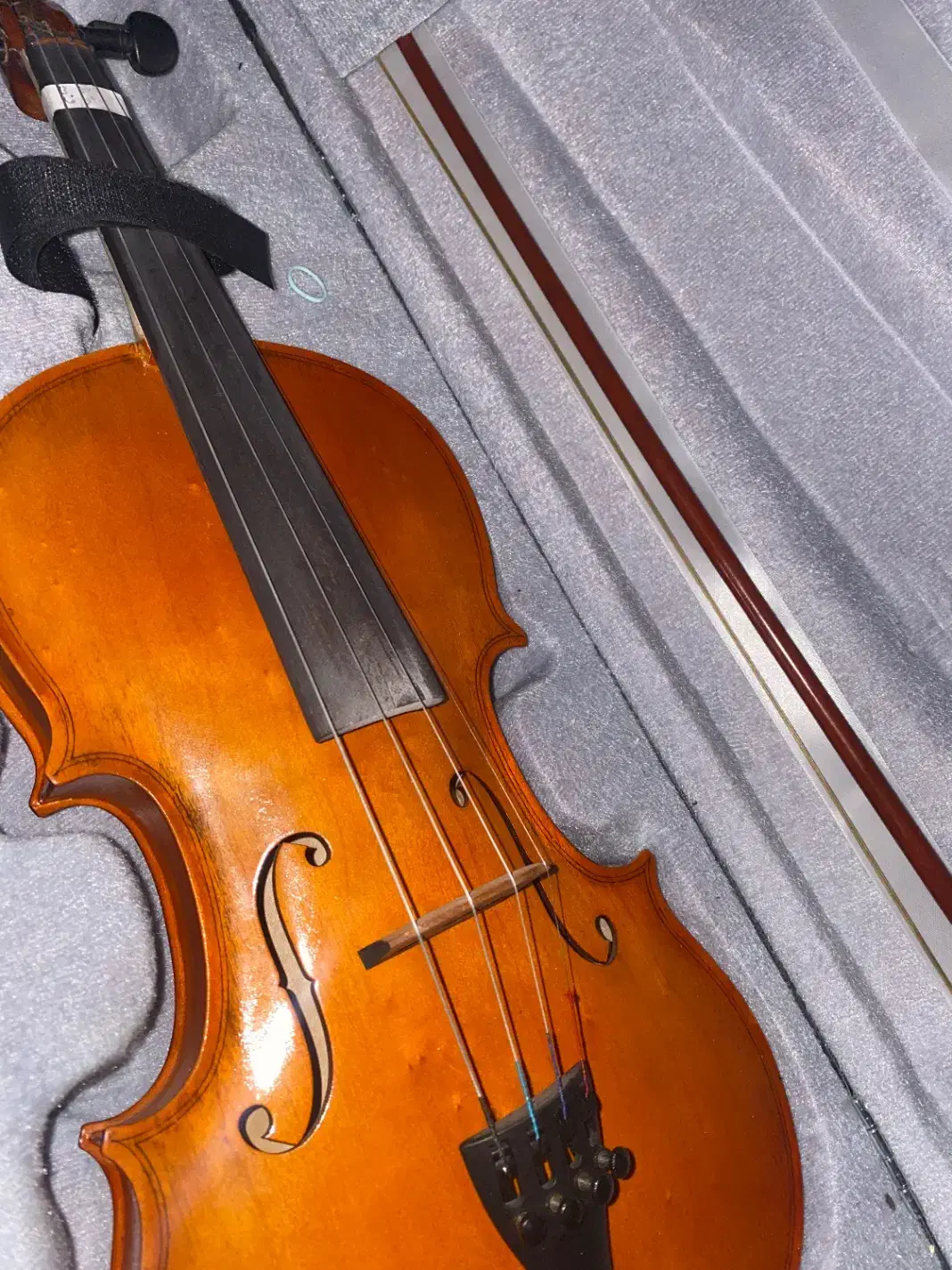 ویولن|ویولن|آستارا, |دیوار