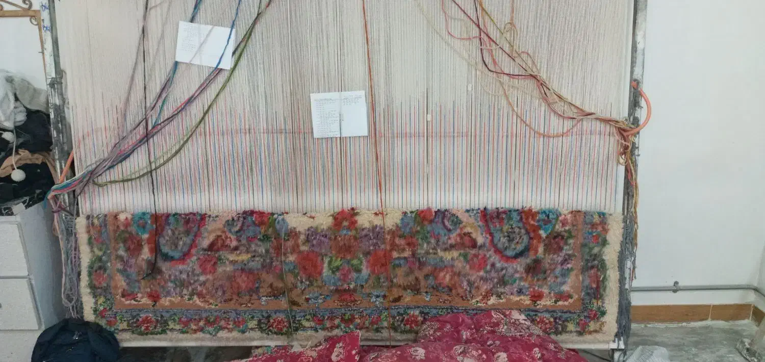 فرش دستباف ۶متری سالاری|فرش|مشگین شهر, |دیوار