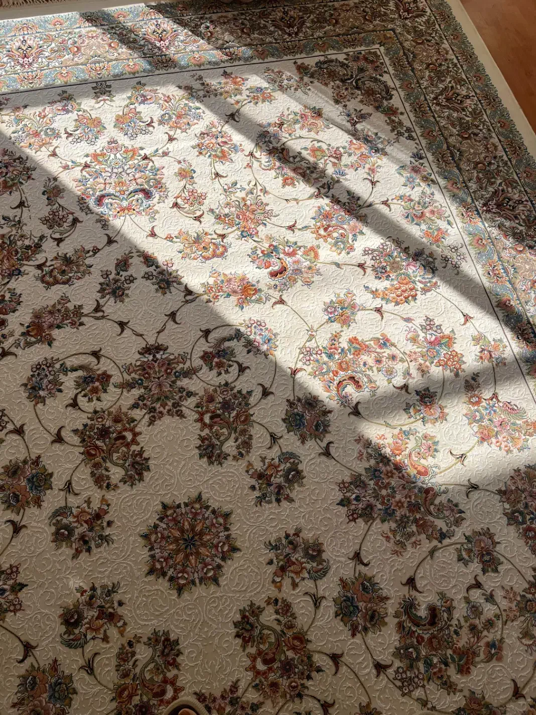 فروش سه عدد فرش ۹ متری مرینوس زندیه|فرش|شیراز, چوگیاه‎|دیوار