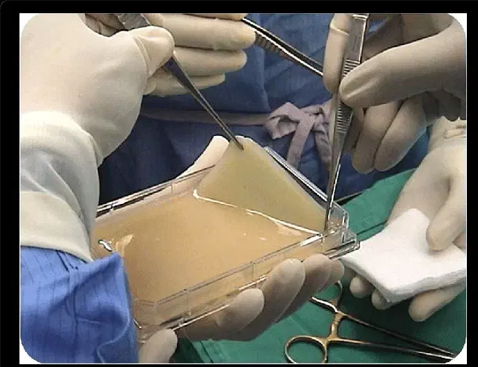 فرصت سرمایهگذاری در فناوری پزشکی دانش بنیان|خدمات مالی، حسابداری، بیمه|تهران, گلستان (شهرک راه آهن)|دیوار