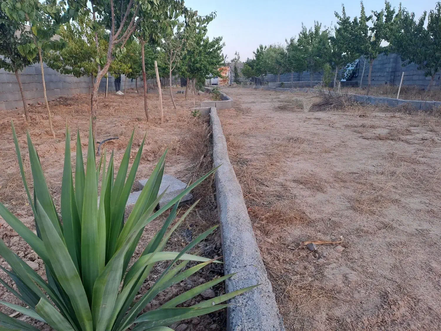 باغ با درختان بزرگ|فروش زمین و ملک کلنگی|مشهد, درزآب|دیوار