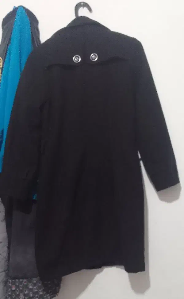 پالتو|لباس|سمنان, |دیوار