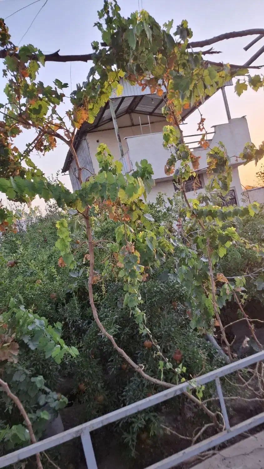 فروش خانه باغ ویلایی در روستای ساوه بعد جعفریه آوه|فروش خانه و ویلا|قم, علی آباد|دیوار