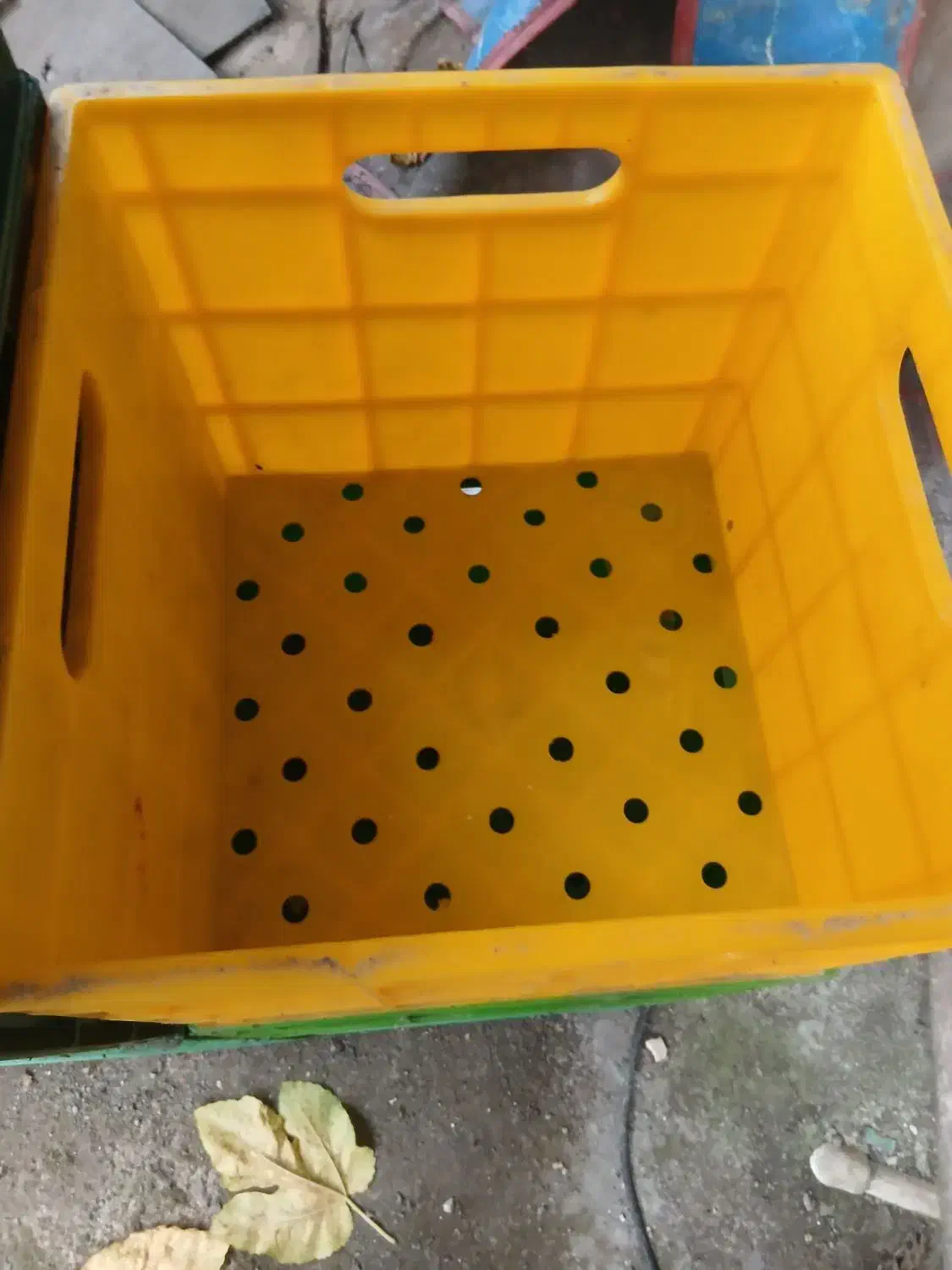 سبد محکم درحدنو|ظروف نگهدارنده، پلاستیکی، یکبارمصرف|رشت, شهرک قدس|دیوار