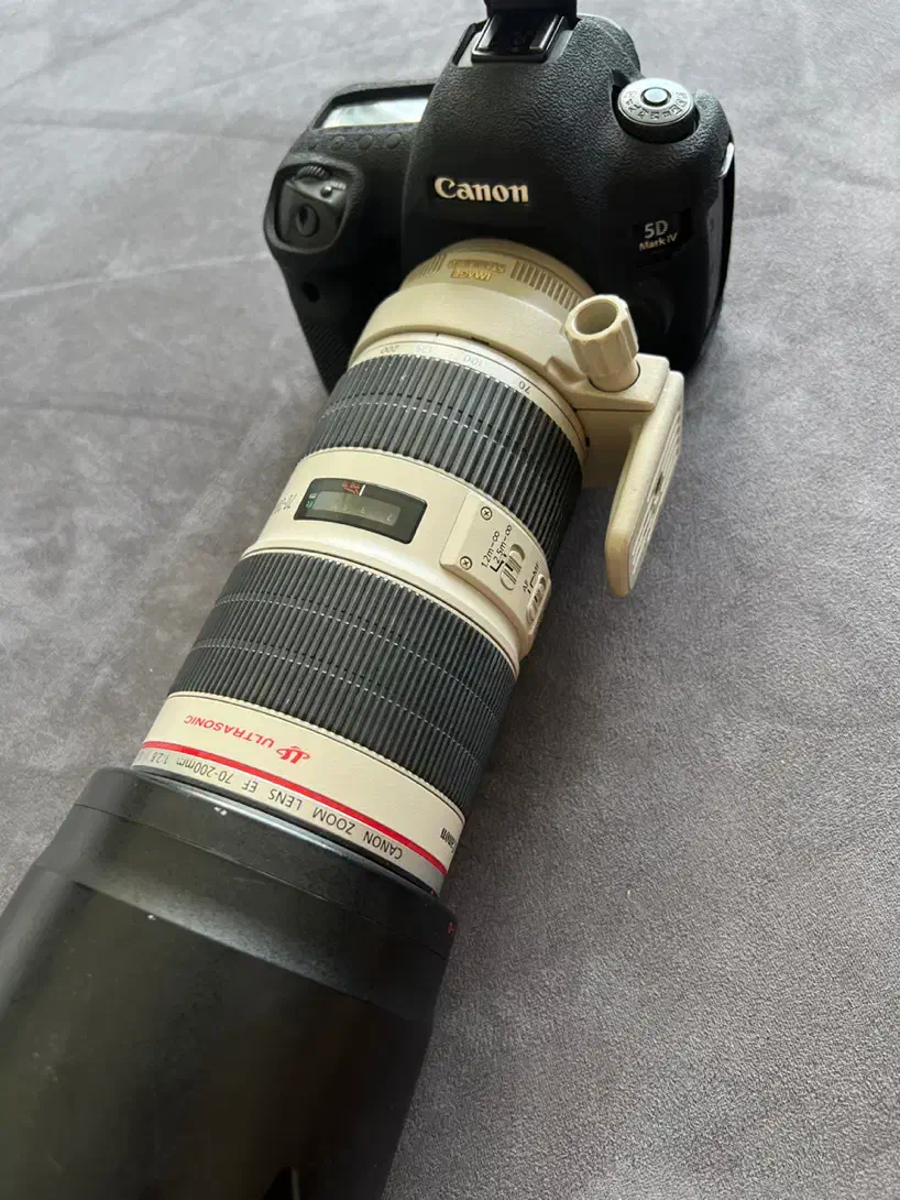 کانن 5Dmark4 Canon EF 70-200mm F2.8L IS II USM|دوربین عکاسی و فیلمبرداری|رشت, کاکتوس|دیوار