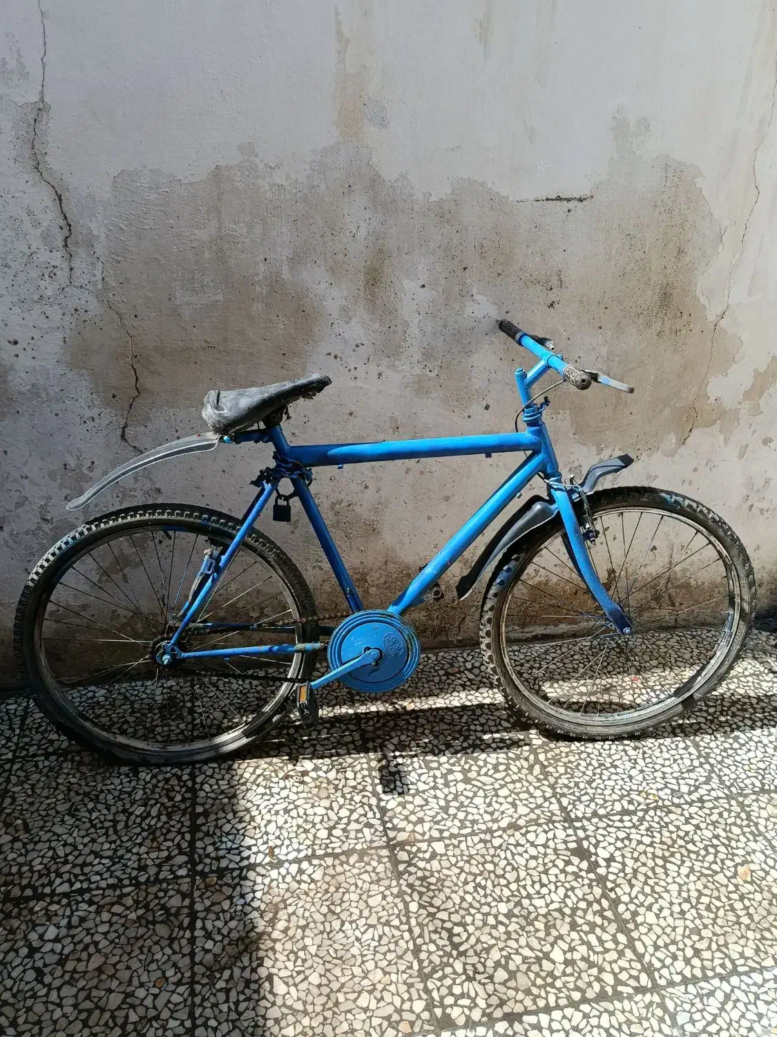 دوچرخه|دوچرخه، اسکیت، اسکوتر|بابل, |دیوار