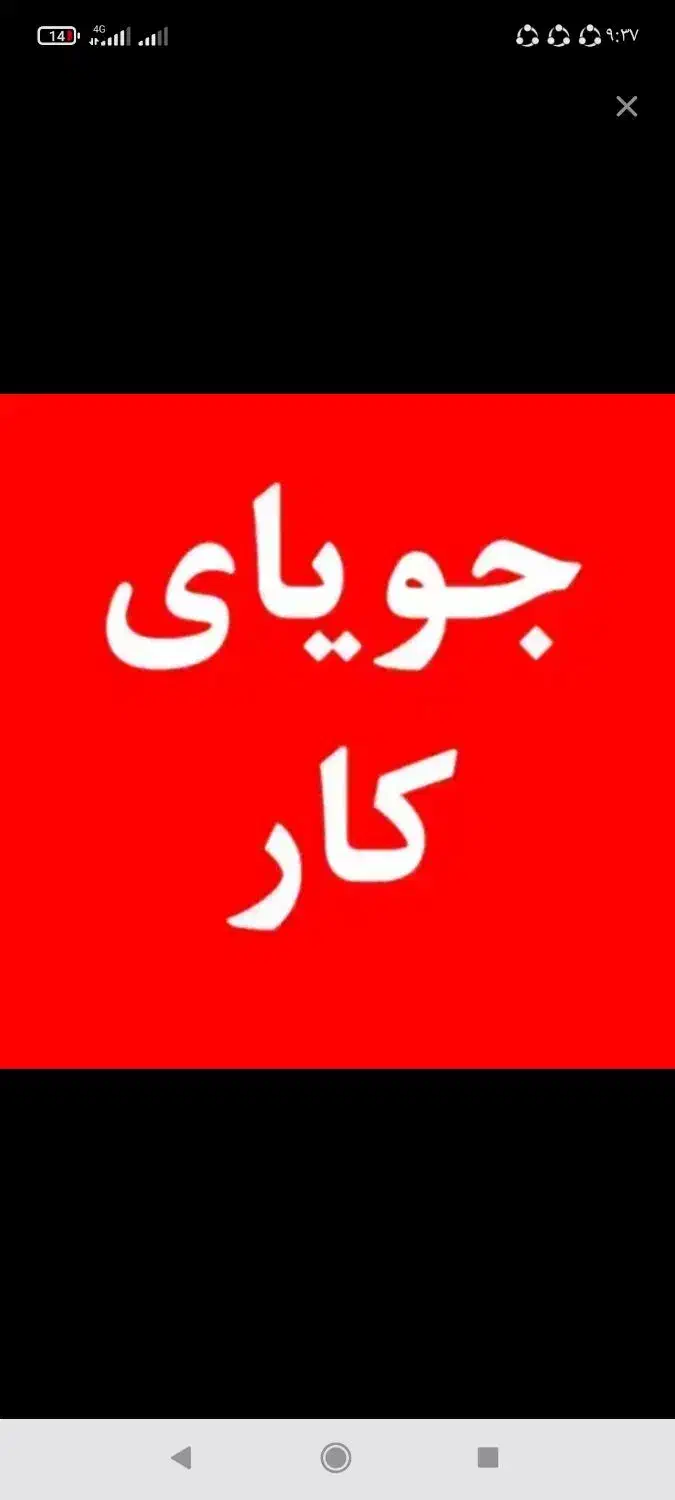 جویای کار هستم|فعالیت داوطلبانه|فردوس (خراسان), |دیوار