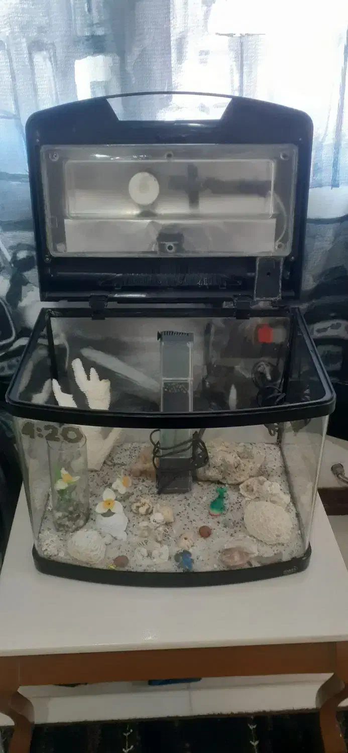 آکواریوم مشکی|ماهی|پرند, فاز ۴|دیوار