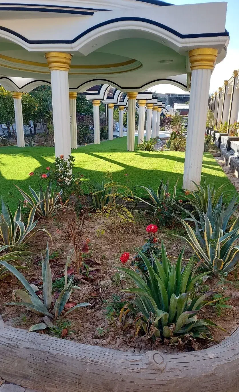 اجرا نصب وپخش عمده چمن|مصالح و تجهیزات ساختمان|دزفول, |دیوار