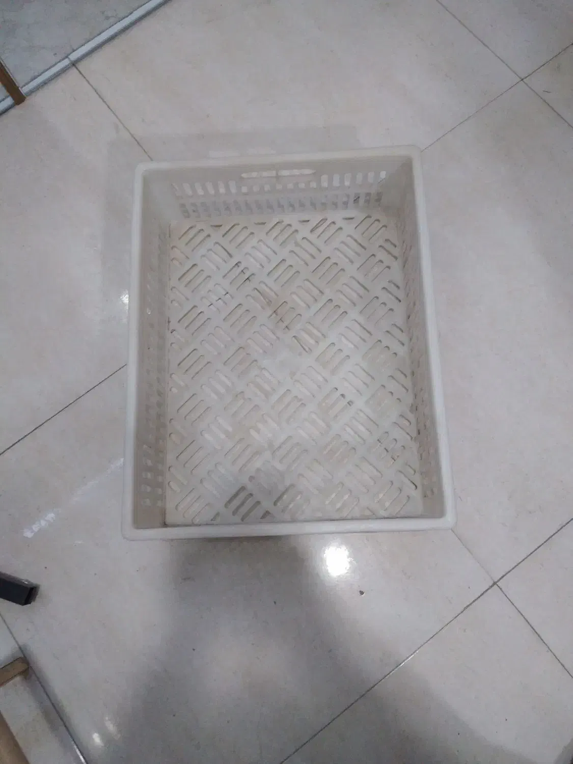 سبدحراجی یا سبد ماستی درحد نو نوطی نو|حراج|مشهد, شهرک شهید باهنر|دیوار