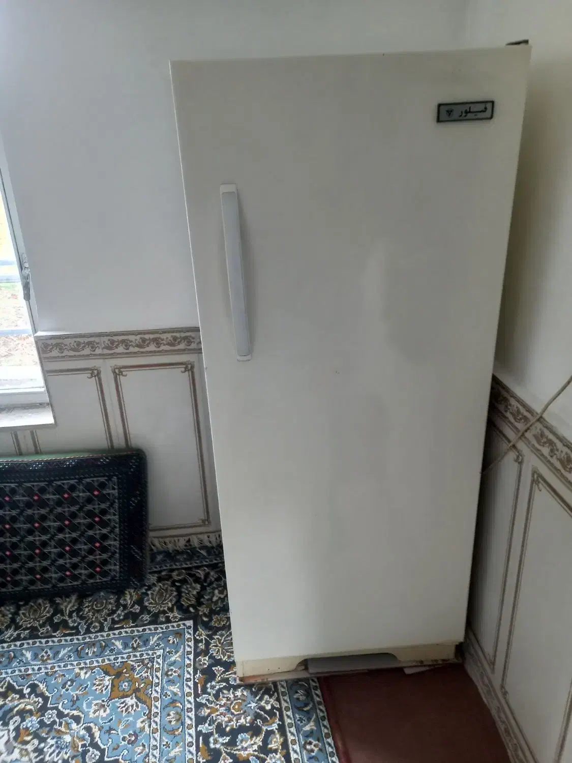 یخچال سوخته|یخچال و فریزر|انگوران, |دیوار