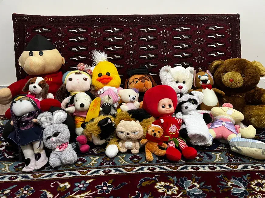 عروسک|اسباب‌بازی بچه|ساری, |دیوار