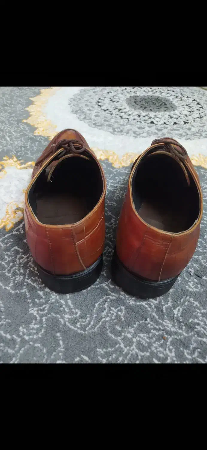 کفش مجلسی چرم|کیف، کفش، کمربند|بافق, |دیوار