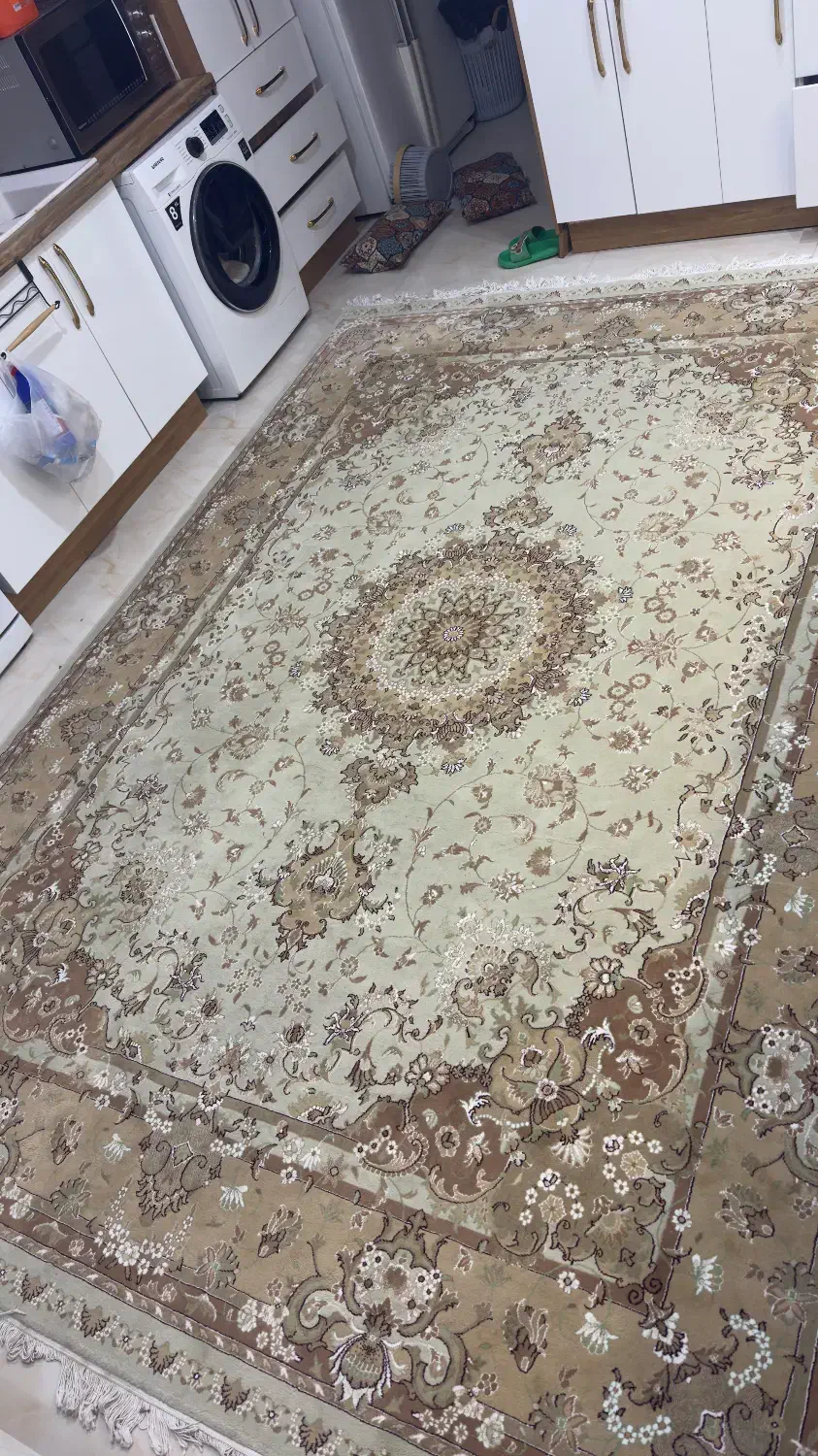 فرش|فرش|دامغان, |دیوار