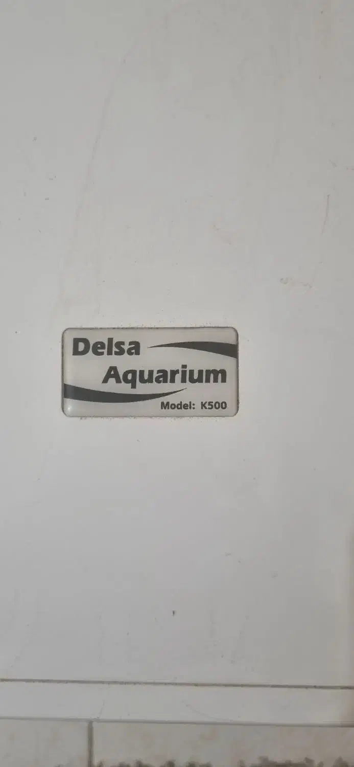 آکواریوم شرکتی|ماهی|اهواز, کیانپارس |دیوار