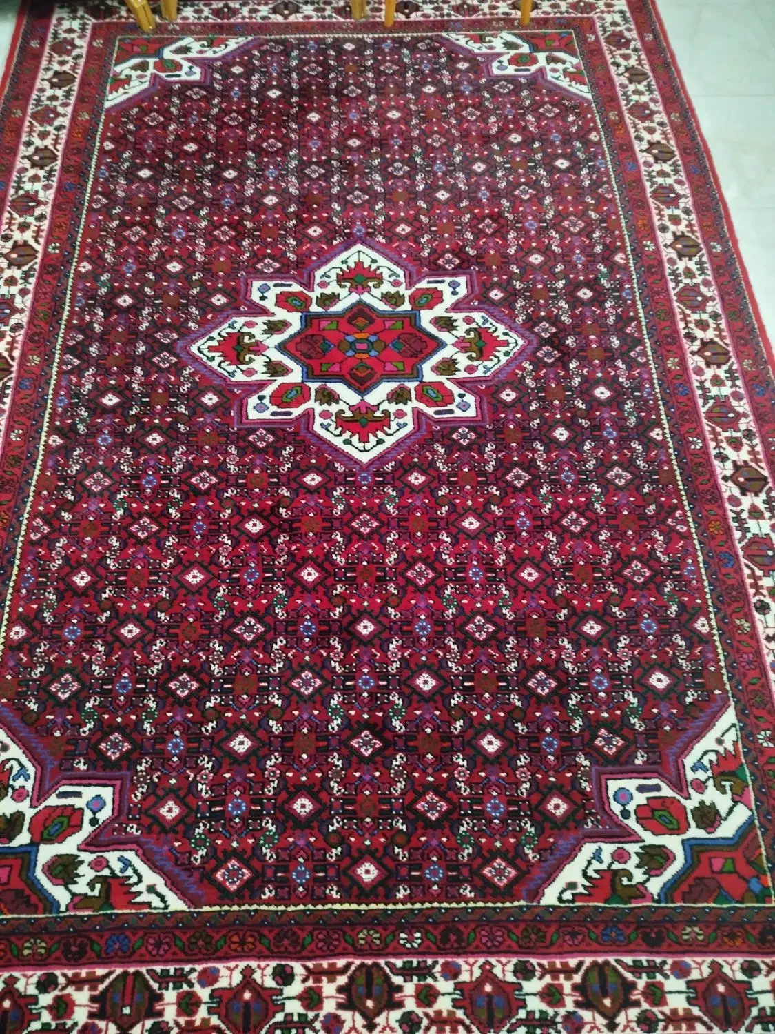 فرش دستبافت (دستباف) بسیار نو|فرش|ملایر, |دیوار