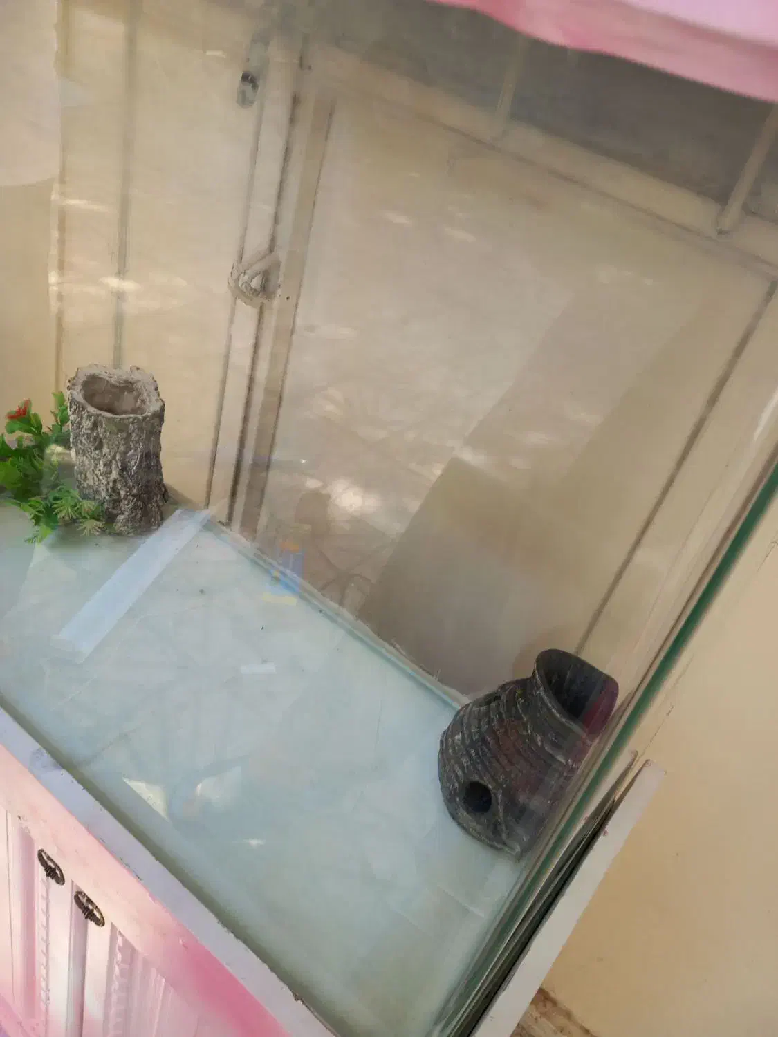 آکواریوم|ماهی|کرج, عظیمیه|دیوار