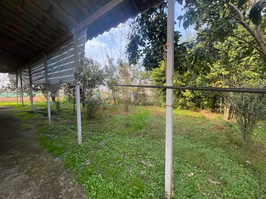 زمین باغی مسکونی|فروش زمین و ملک کلنگی|رشت, بازار|دیوار