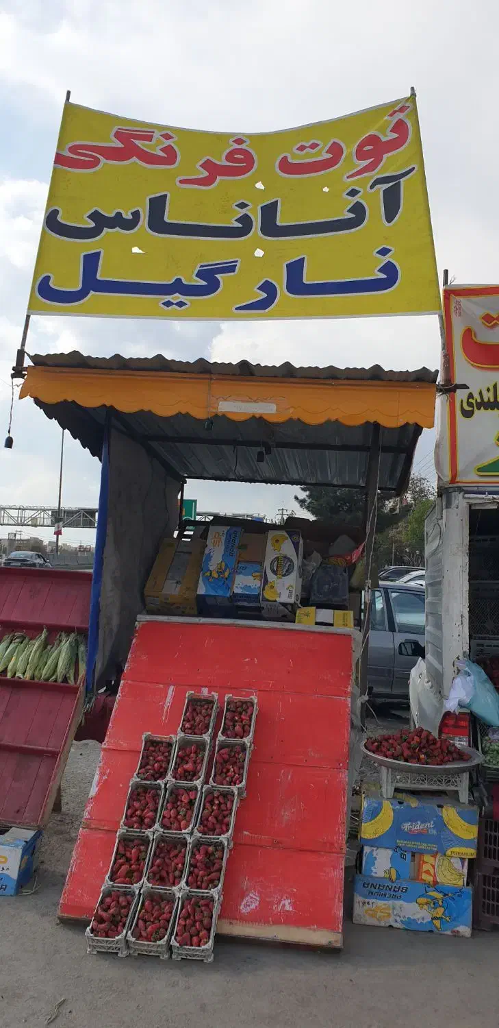 گاری|فروشگاه و مغازه|مشهد, سازمان آب|دیوار