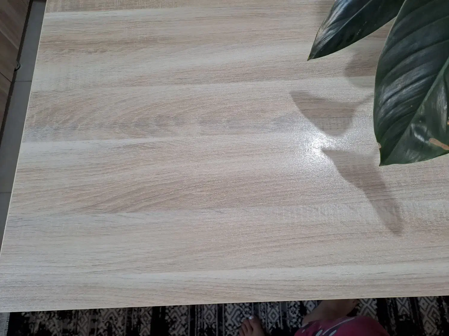 میز ناهار خوری|میز و صندلی غذاخوری|رشت, منظریه|دیوار