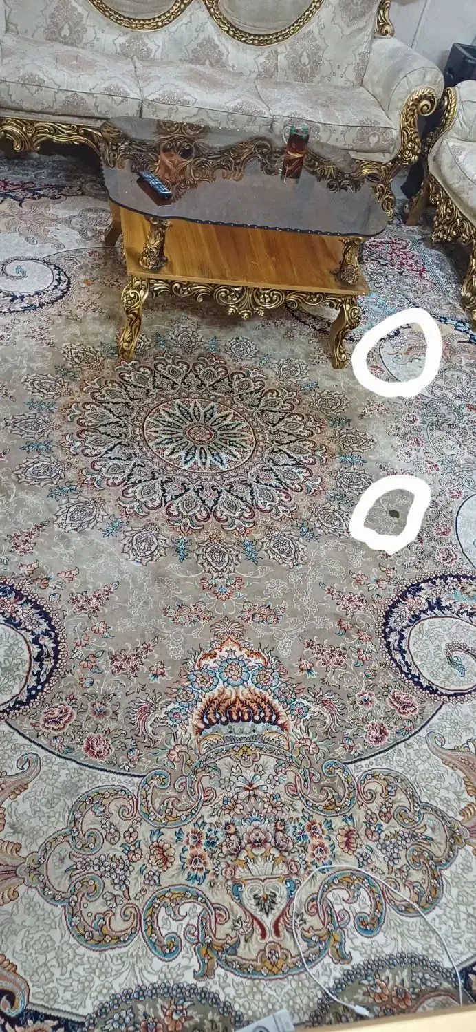 فرش مشهد 700 شانه|فرش|مشهد, کشف|دیوار