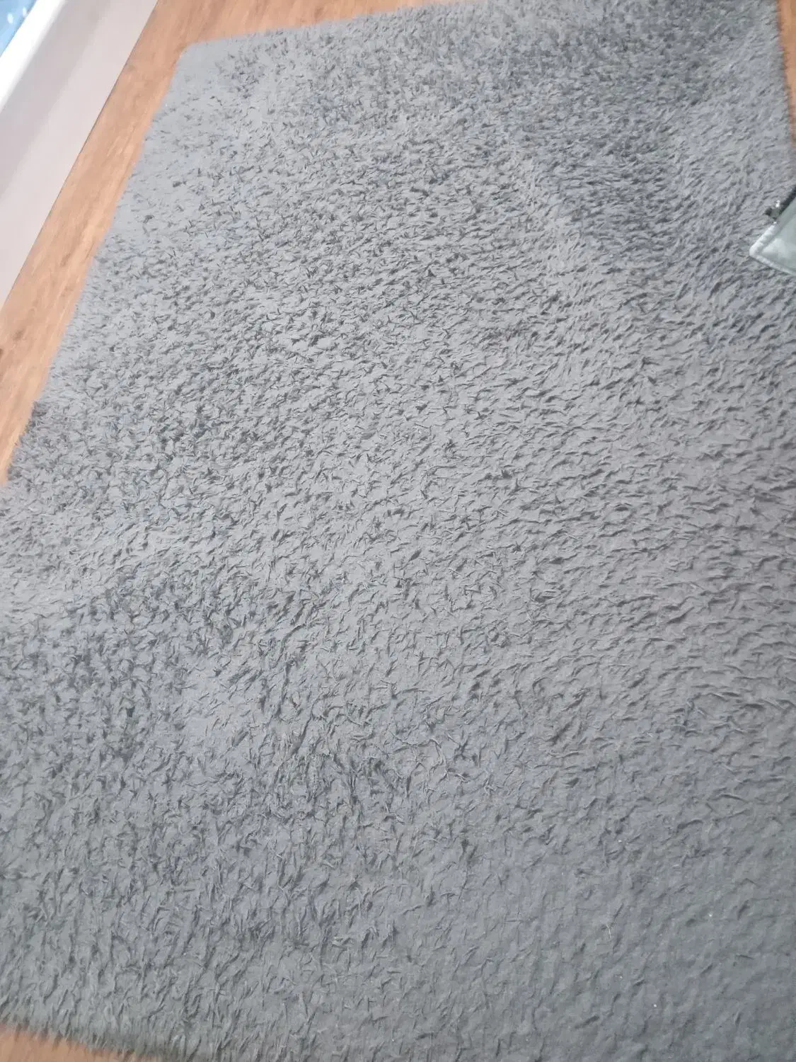 قالیچه ۴ متری|فرش|شیراز, شهرک بهشتی|دیوار