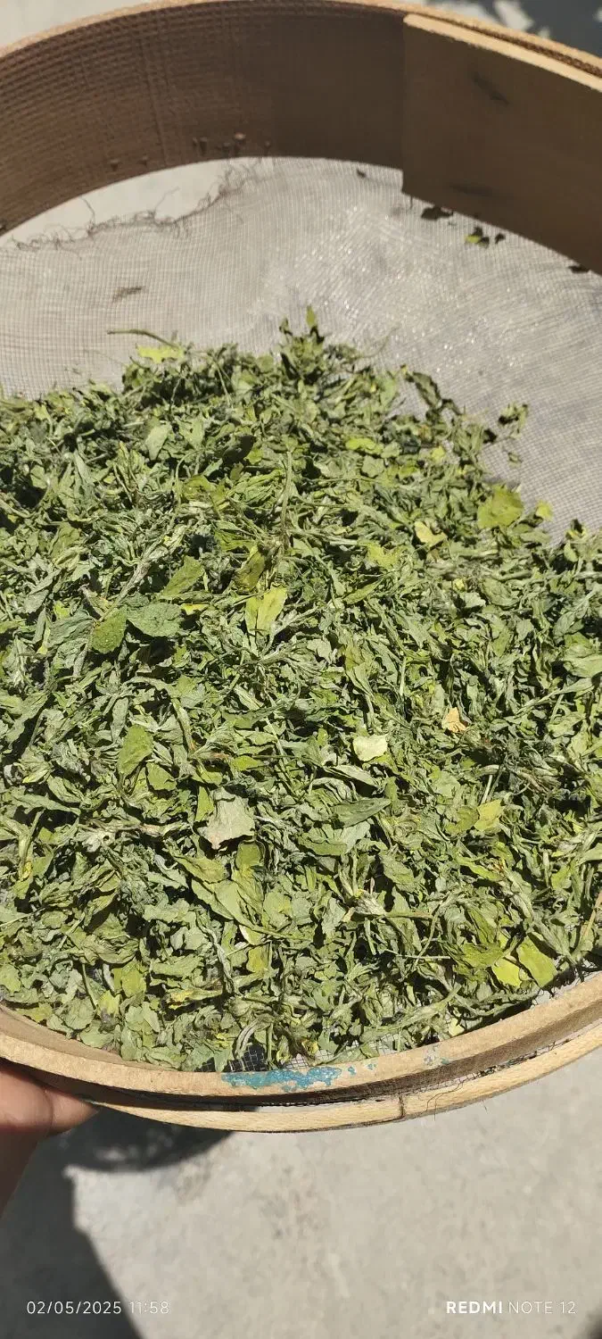 سبزی خشک|خوردنی و آشامیدنی|شیراز, گل سرخ|دیوار