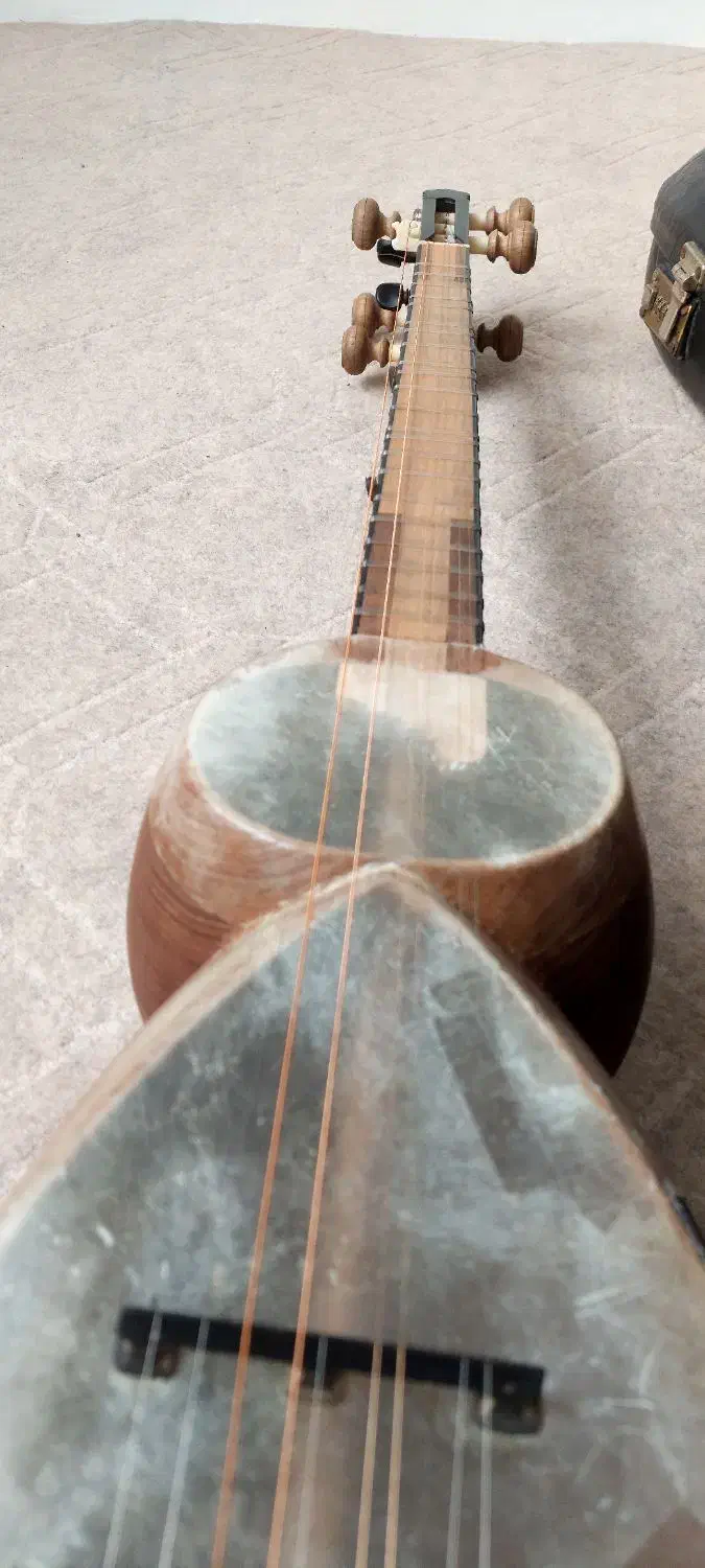 تار آذری جوادپور|سازهای سنتی|تبریز, |دیوار