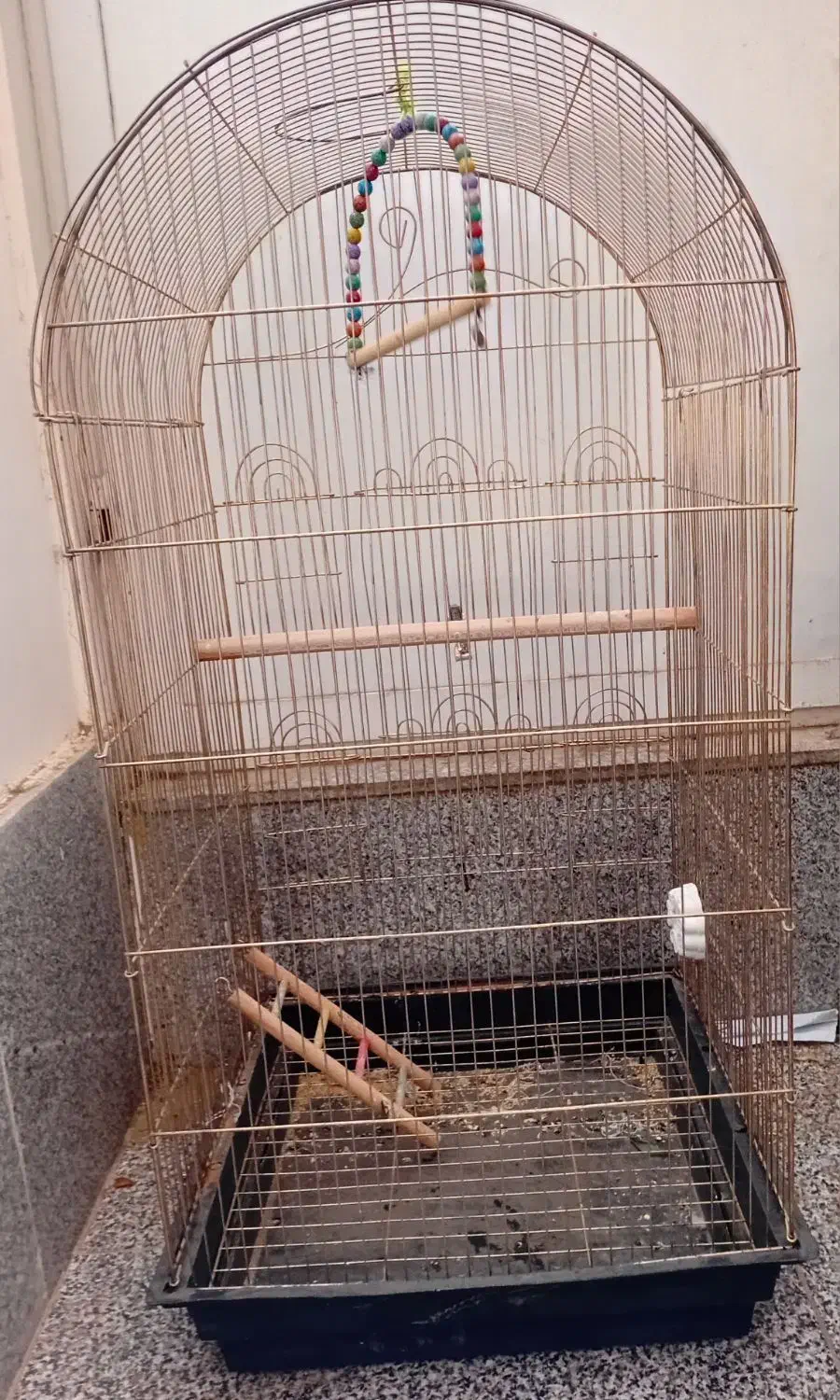 قفس پرنده|لوازم جانبی حیوانات|تربت جام, شهرک آزادگان|دیوار