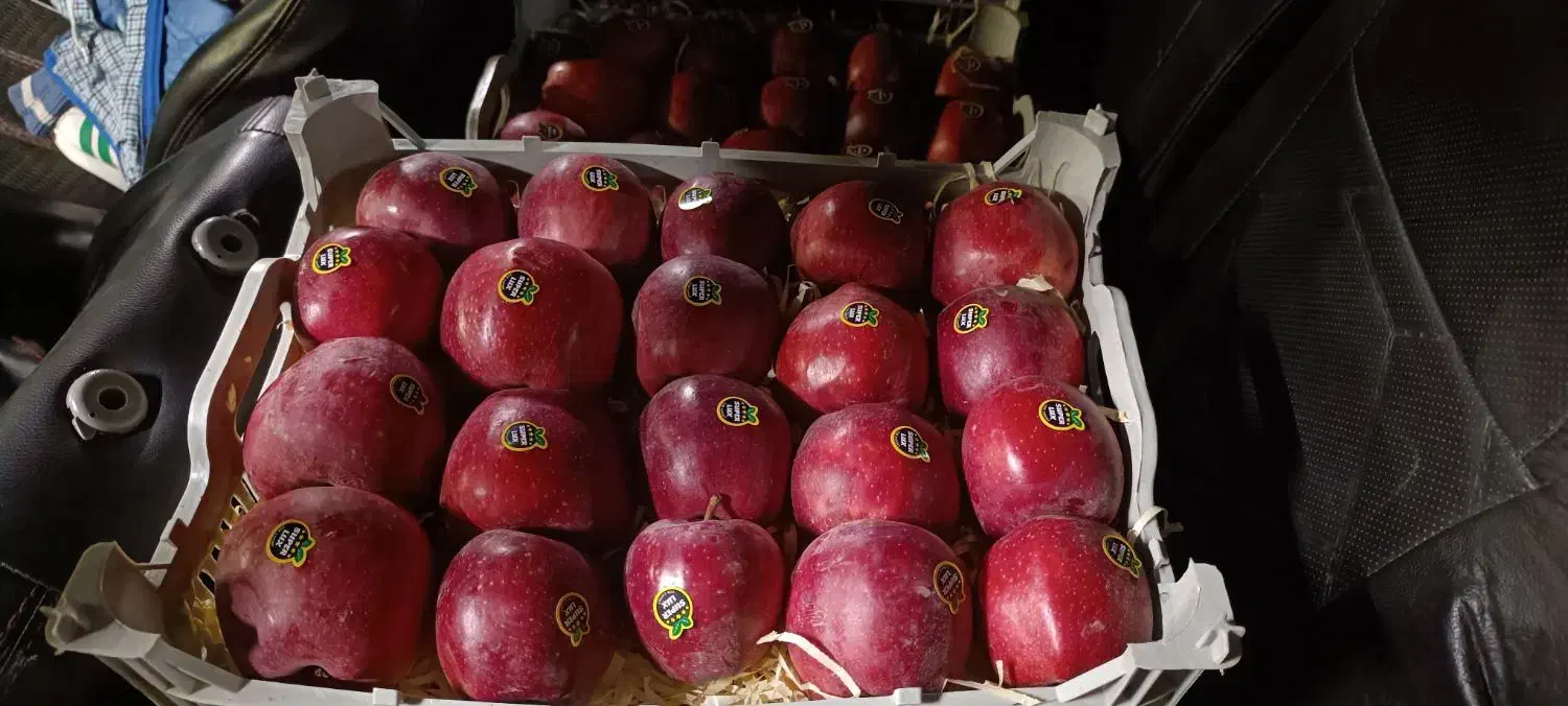 کار در میوه فروشی|استخدام خدمات فروشگاه و رستوران|ارومیه, |دیوار