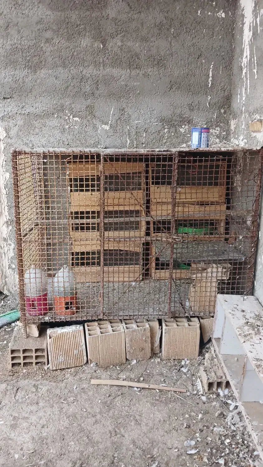 قفس بزرگ|لوازم جانبی حیوانات|بندر ماهشهر, |دیوار