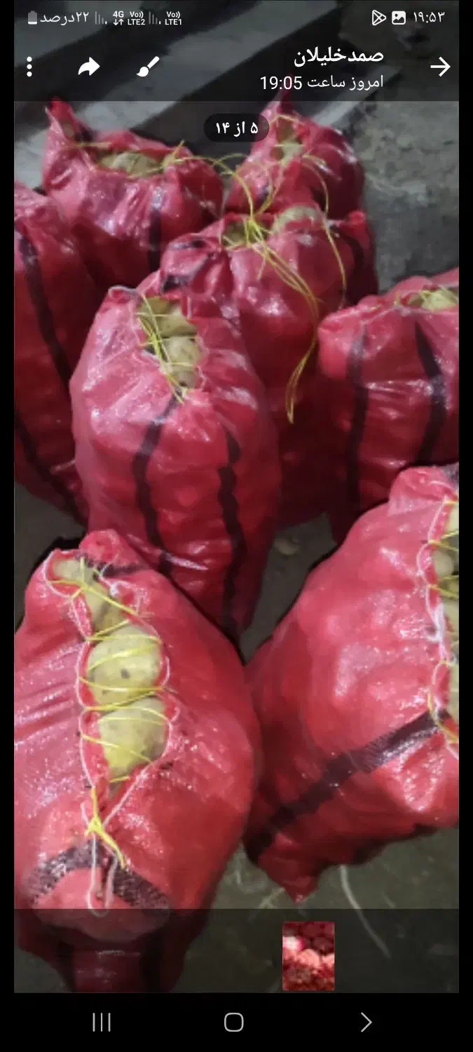 سیب زمینی جلی|خوردنی و آشامیدنی|زاغه, |دیوار