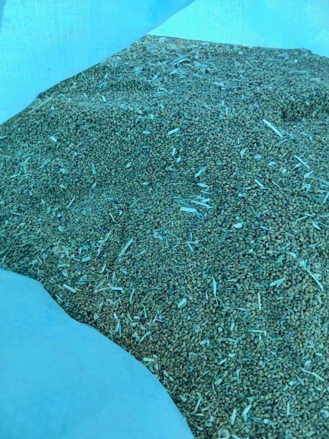 بزریونجه محلی|عمدهفروشی|رودبار (کرمان), |دیوار