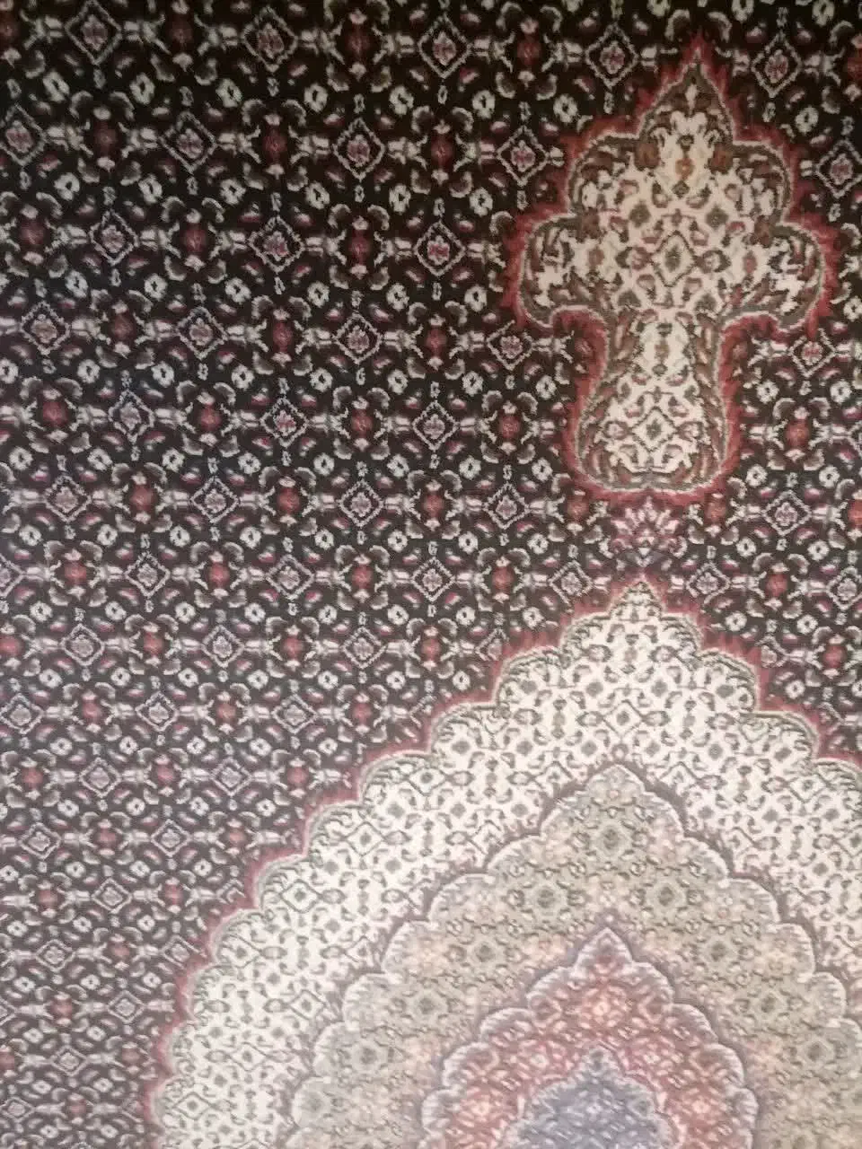 فرش ماشینی|فرش|تهران, هلال احمر|دیوار